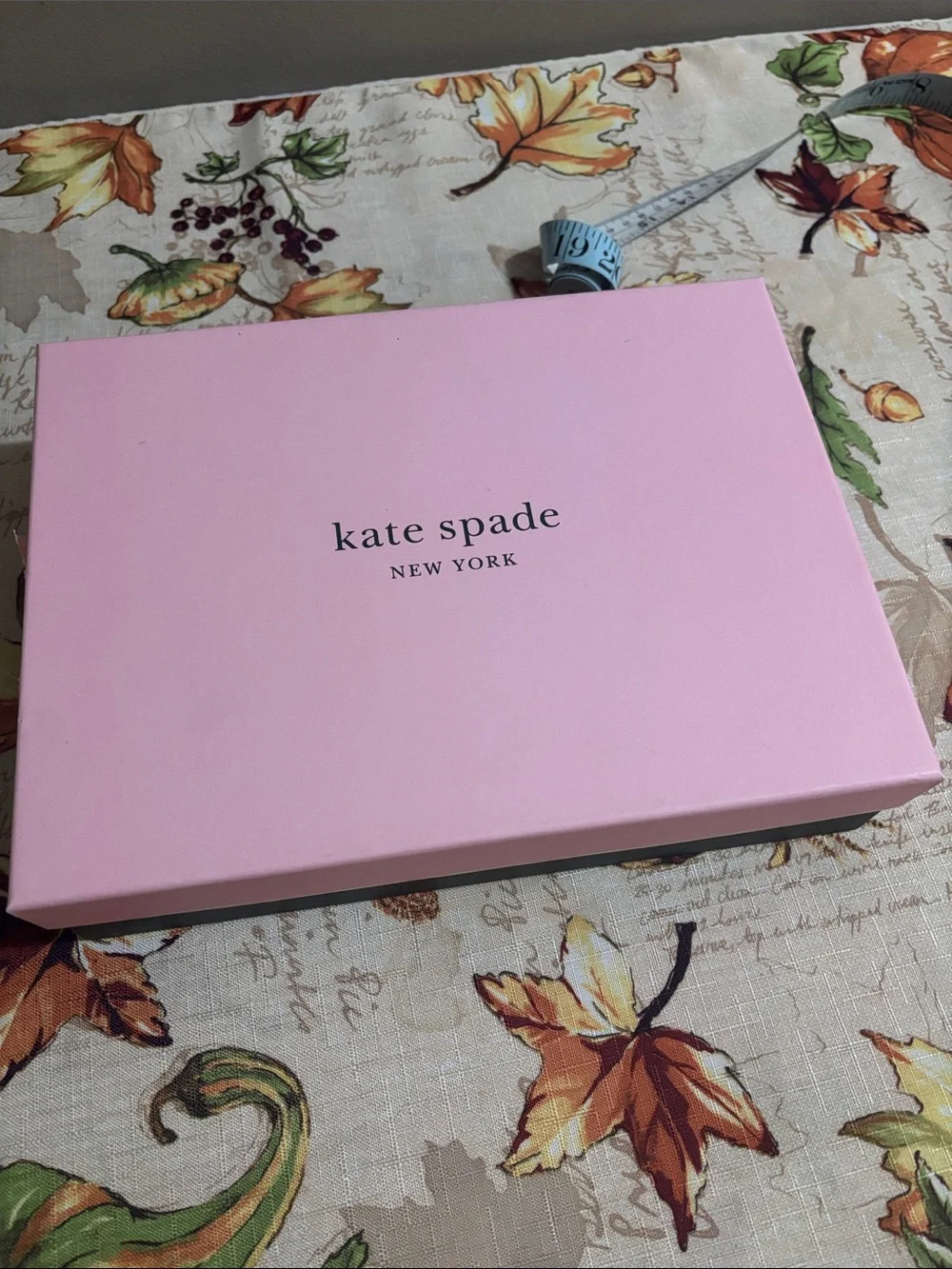 kate spade Pale Pink Gift Box with Black Logo Hat and Gloves
